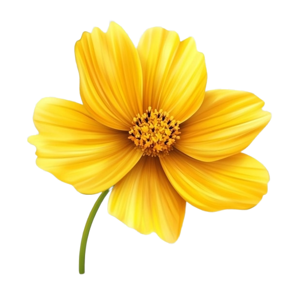 🌻